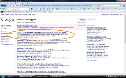 Small Fish Business Coaching #1 on Page 1 of Google organic search for "Business Coaching Perth"
